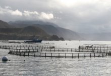Sustainable fish farming is possible for the majority of coastal countries