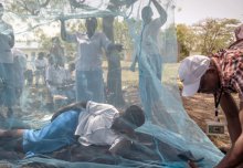 Malaria research agenda stresses the need for innovation and integration