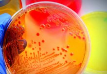 Children's drug-resistant bugs could render common antibiotics ineffective