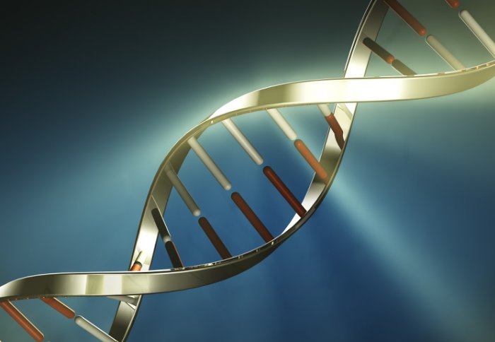 DNA is the material that carries genetic information
