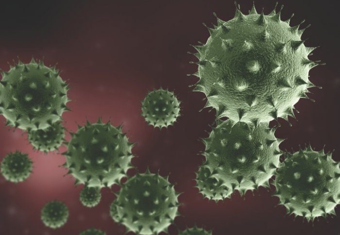 virus image