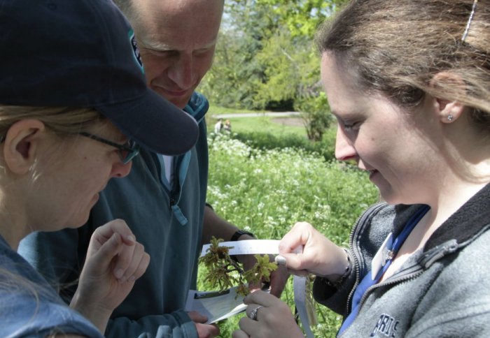 Survey participants learn how to identify plants and record information about what they find