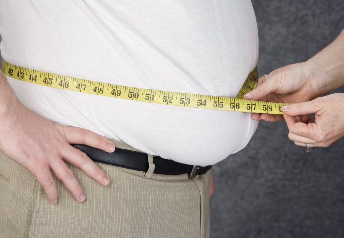 Further links uncovered between obesity and type 2 diabetes