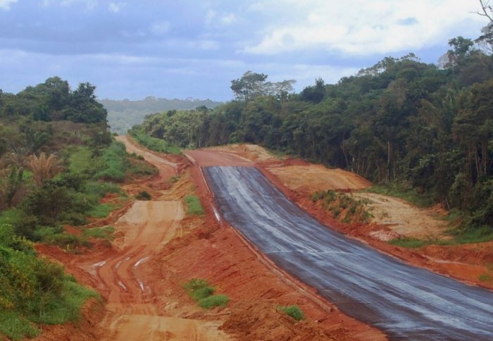 Road running through Amazon rainforest in Brazil. (Credit: Dr Toby Gardner)
