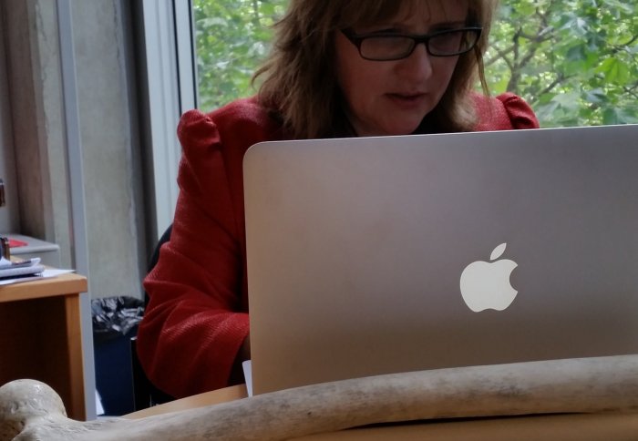 Professor Sara Rankin sitting at a laptop computer