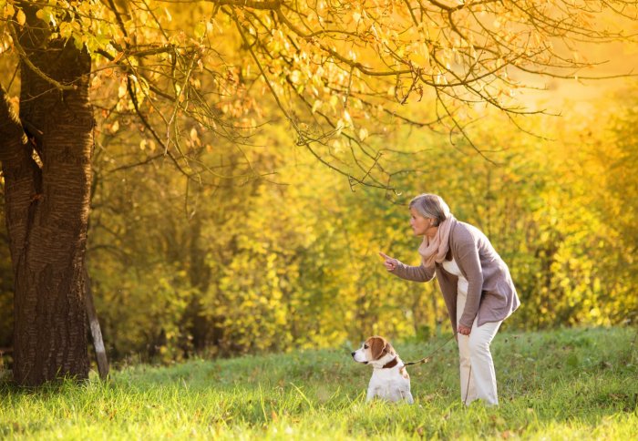 woman walking dog