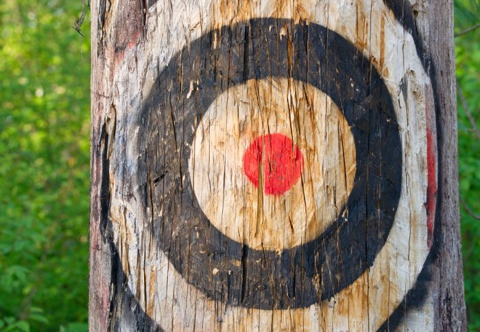 Target painted on a tree