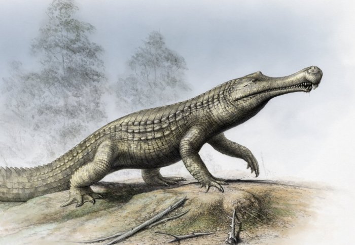 Sarcosuchus