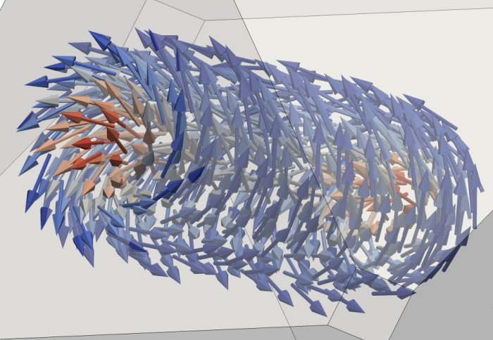 This micromagnetic model shows the three-dimensional vortex structure of magnetite nanocrystals