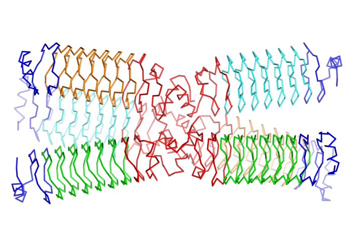 Four coloured helixes linked by a central red loopy area