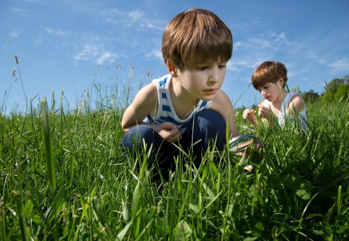 Children exploring nature in a garden, holding magnifying glasses
