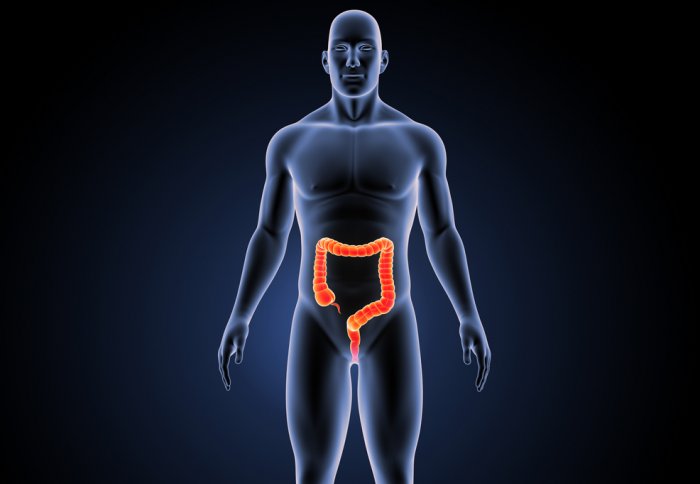 Graphic of a man with his bowels illuminated