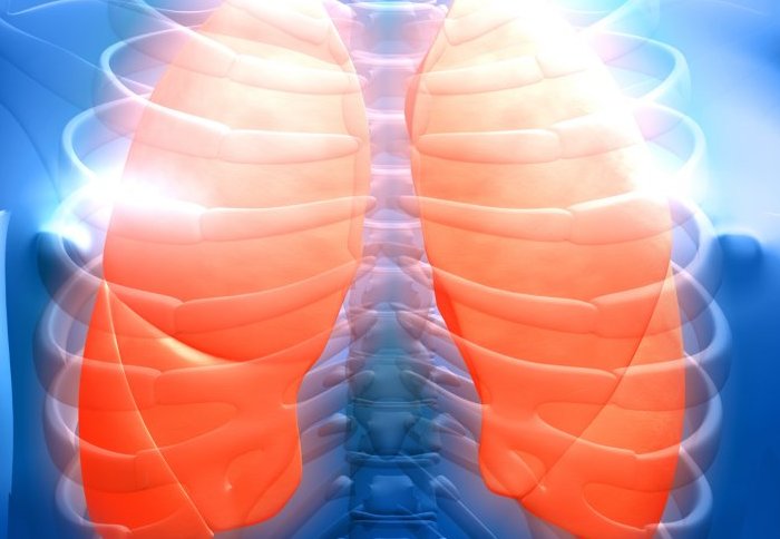 A colourful illustration of an x-ray of the lungs and chest cavity