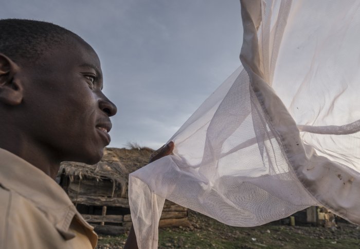 Man looking into a net holding mosquitoes