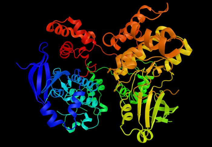 Image of the structure of a protein kinase