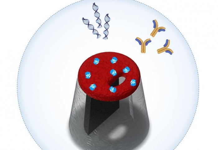 Illustration of a nanopore with biological molecules drawn towards it