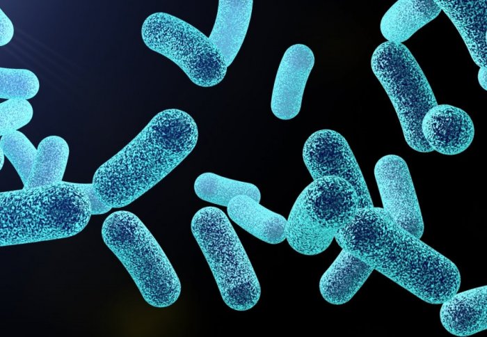 Illustration of Psuedomonas bacteria