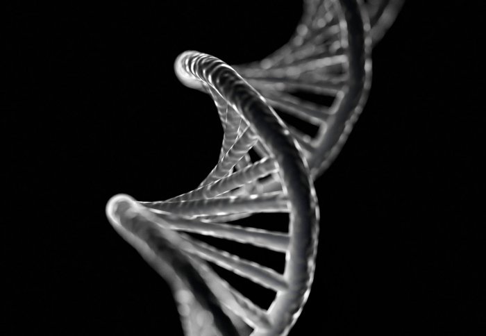 Twisting DNA double helix
