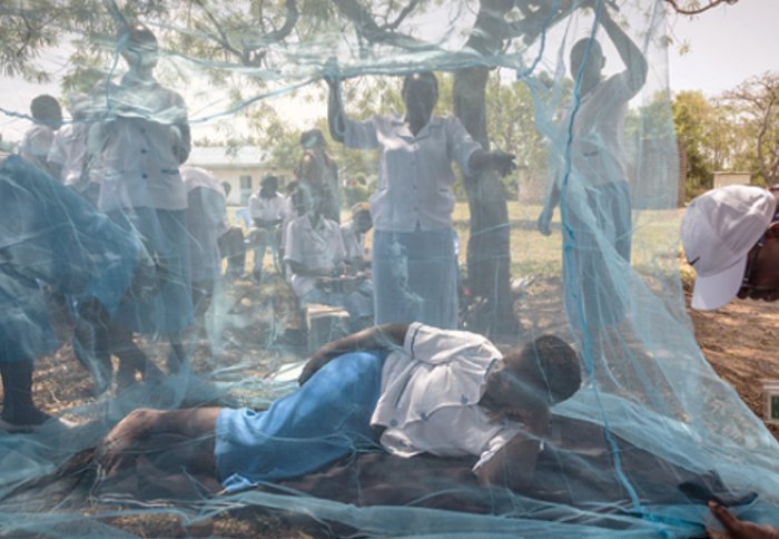 Demonstration of bed net use for malaria prevention, Courtesy of Sven Torffin, WHO WOrld Malaria DAy 2017