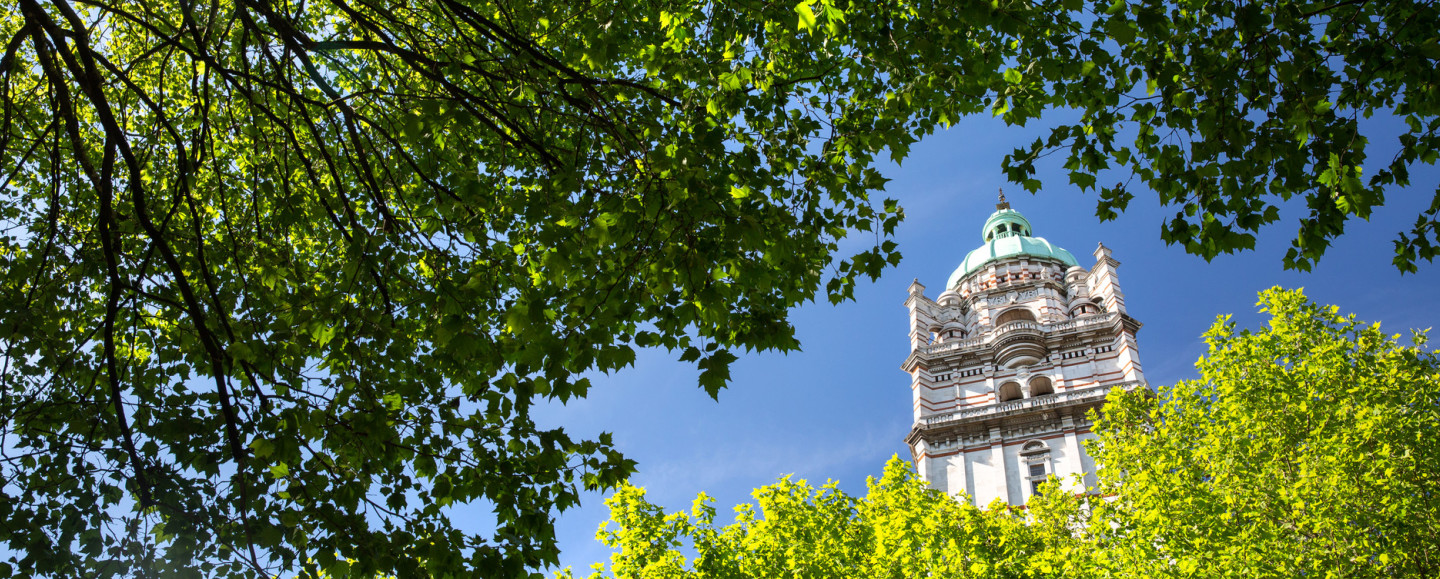 Photograph of lush trees in the foreground and the Queen's Tower in the background