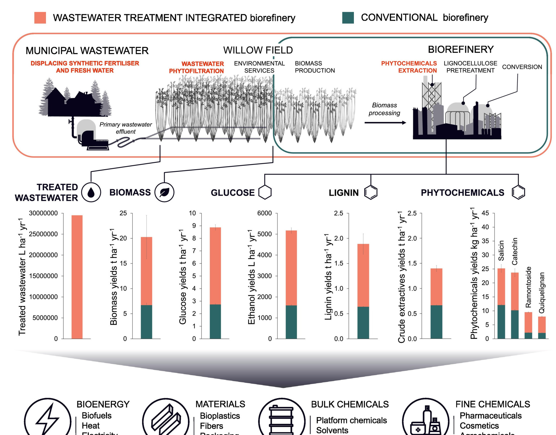 A diagram illustrating a proposed biorefinery integrating willow wastewater treatment by phytofiltration, biomass production, lignocellulosic bioenergy and phytochemicals extraction. Final yields projected per hectare per year from the control (conventional) and municipal wastewater primary effluent irrigated (integrated) willow field trial at Saint-Roch-de-l'Achigan are provided with possible biorefinery and end-use bioproducts.