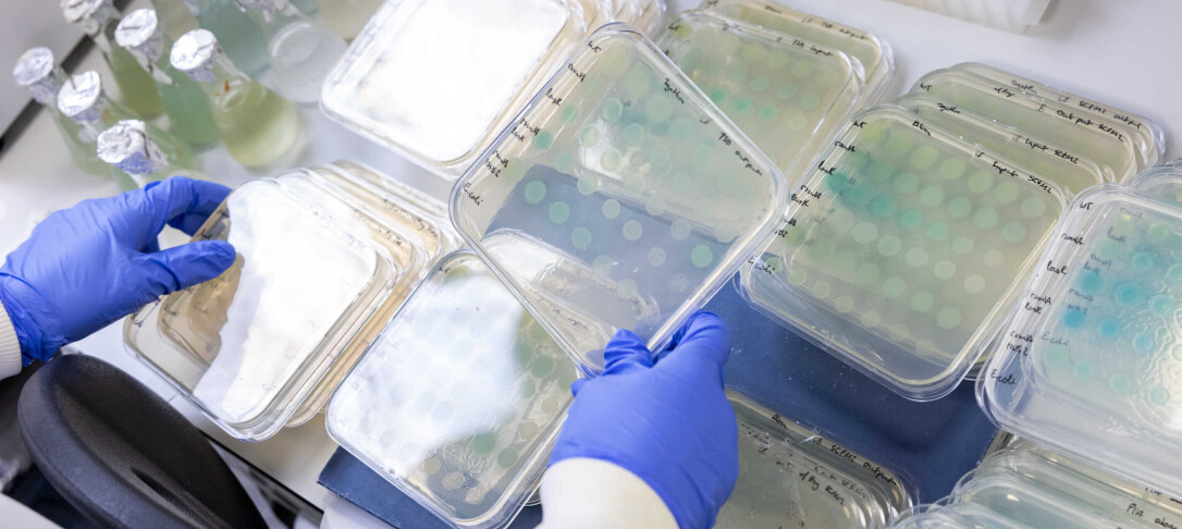 infection image