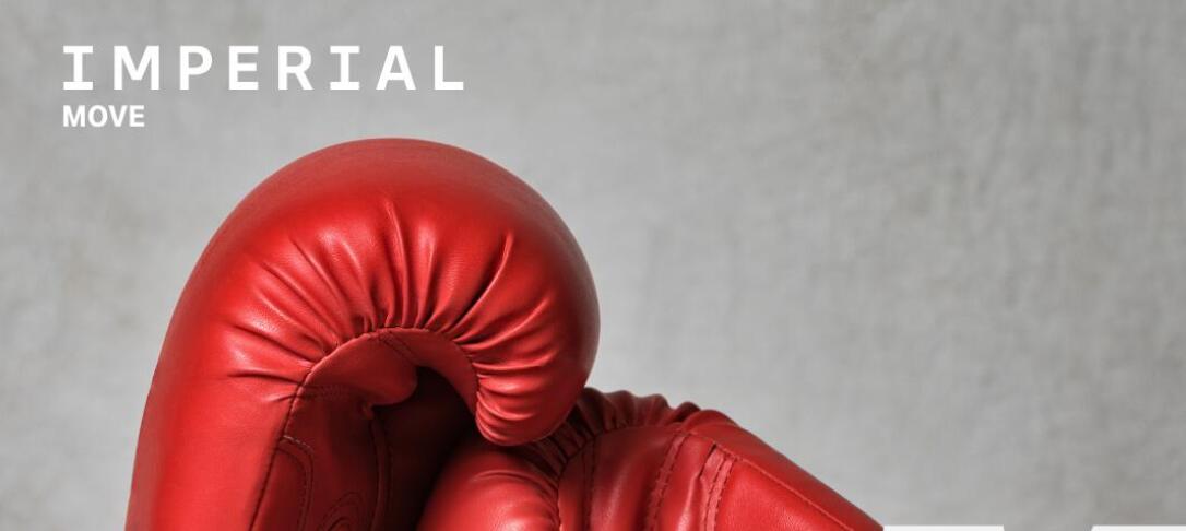 muay thai