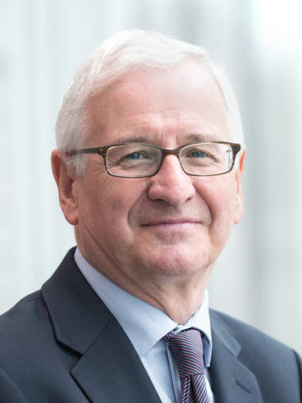 Professor Desmond Johnston