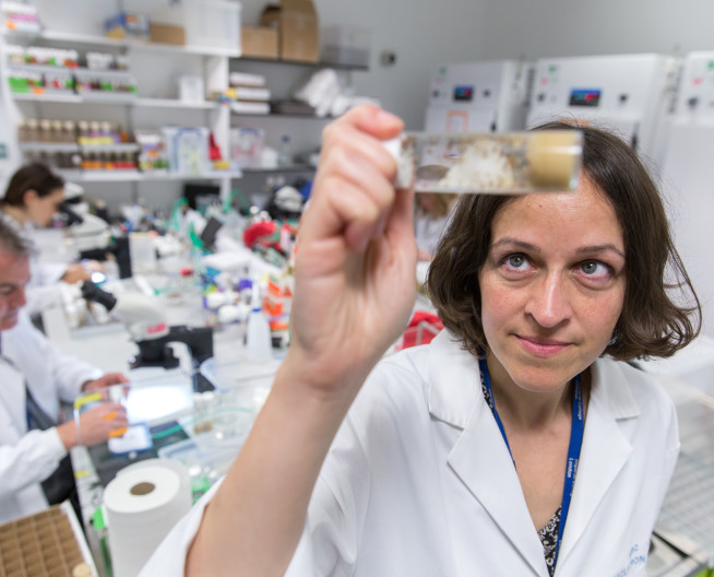 Woman in lab