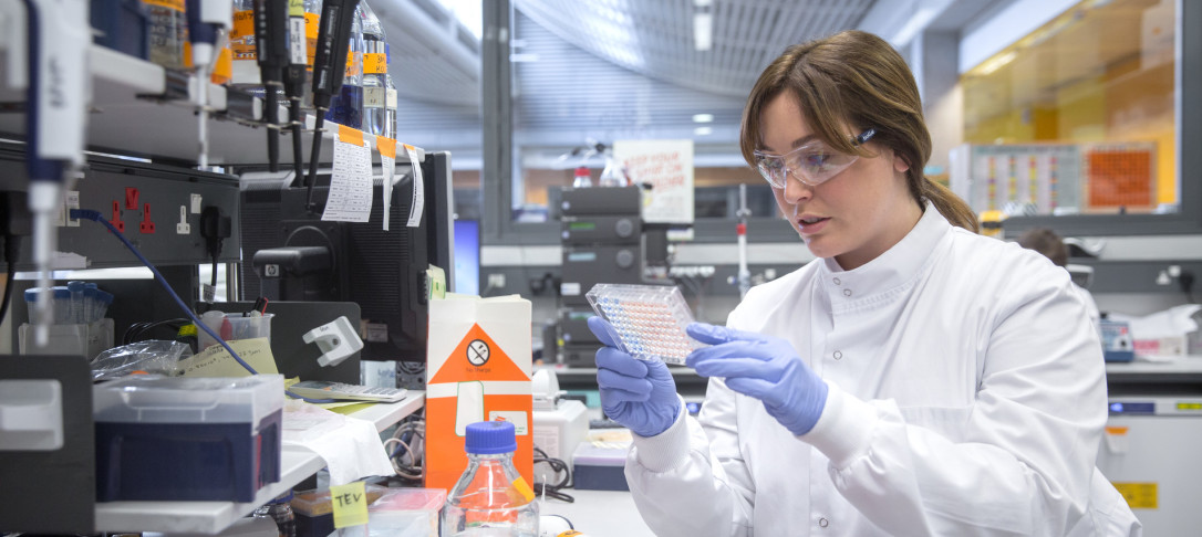 Centre for Structural Biology Open Day