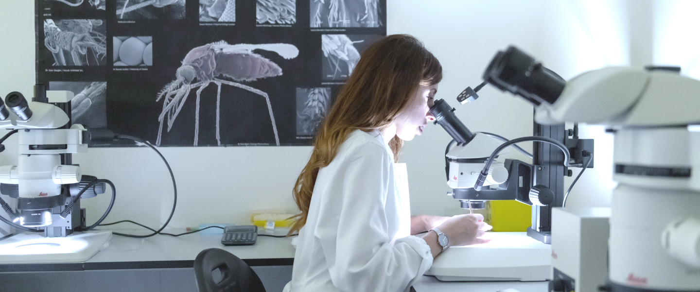 A malaria researcher with a poster of mosquitos