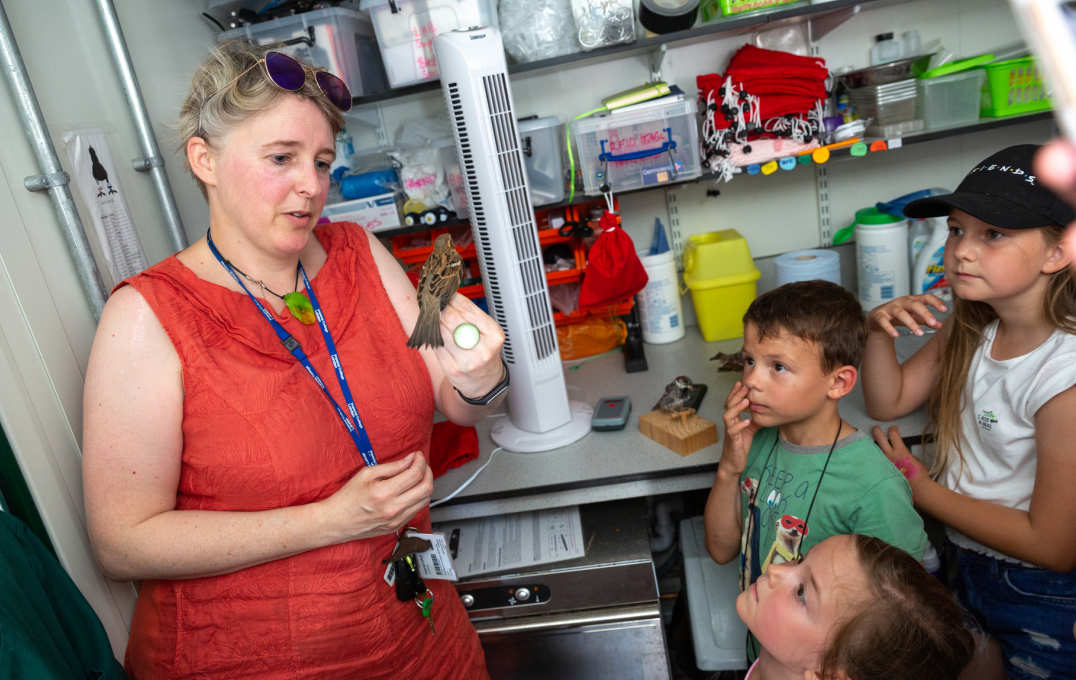 A researcher holds a sparrow and talks to children