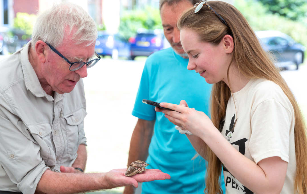 A woman takes a photo of a butterfly on a man's hand