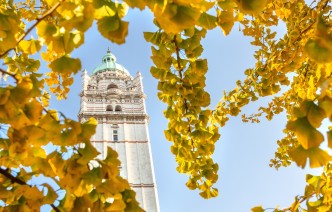 The Queen's Tower and autumnal leaves