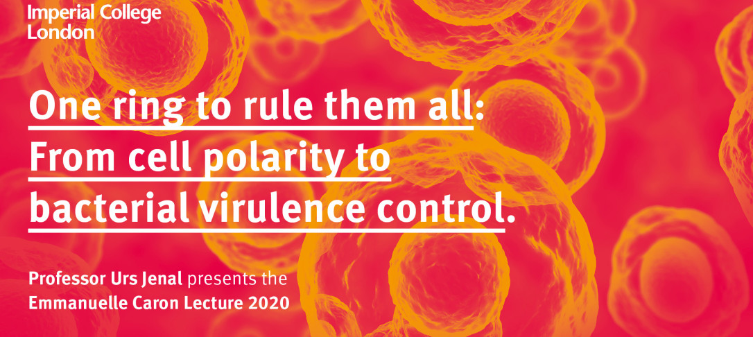 One ring to rule them all: From cell polarity to bacterial virulence control