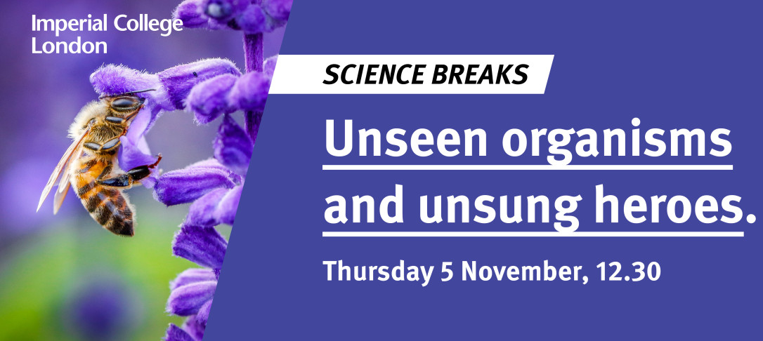 Science Breaks: Unseen organisms and unsung heroes