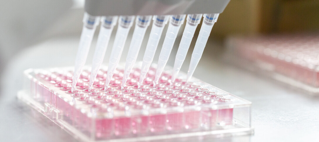 NCD event - vaccine image