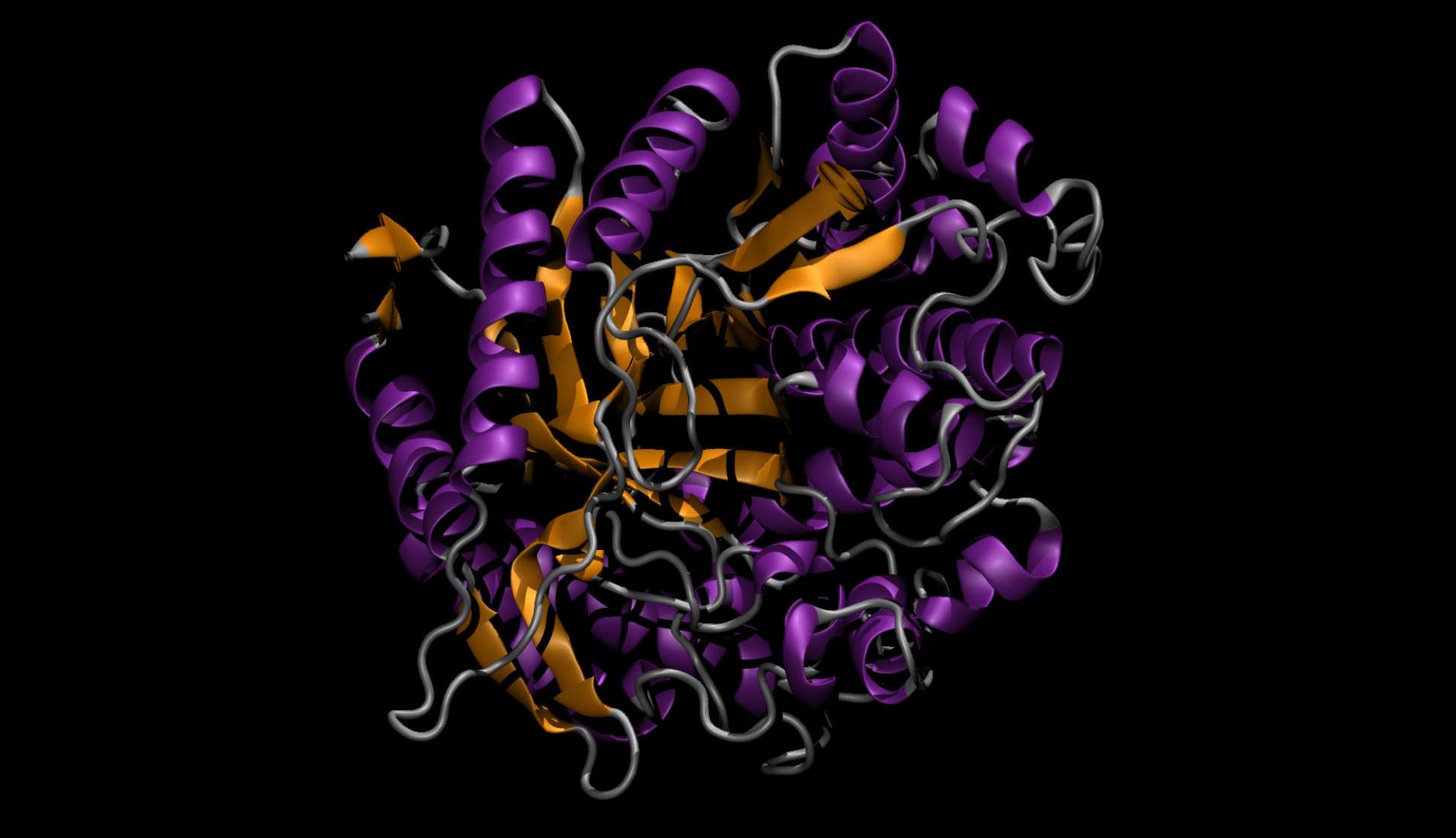3D rendering of the glucosidase enzyme