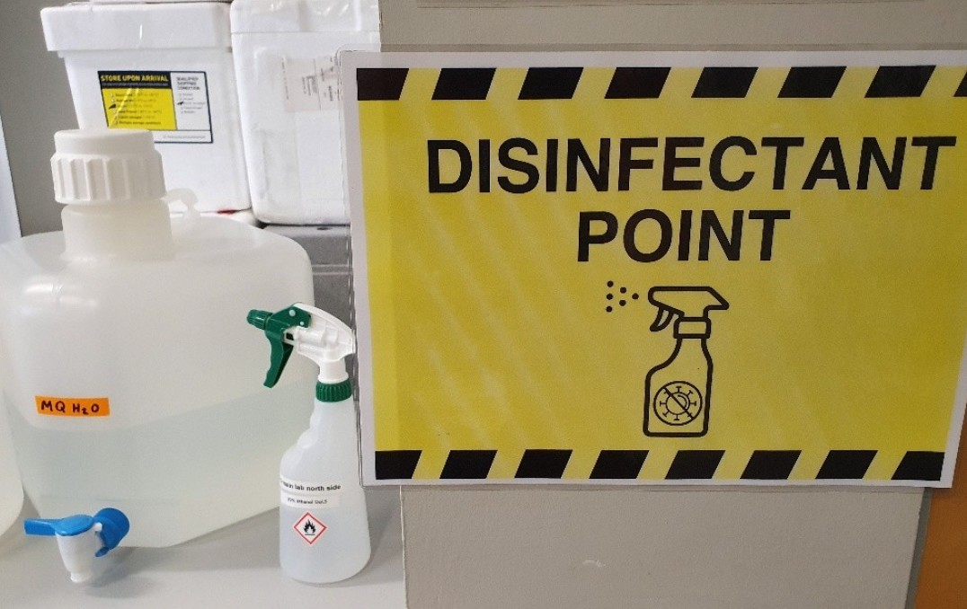 A disinfectant point