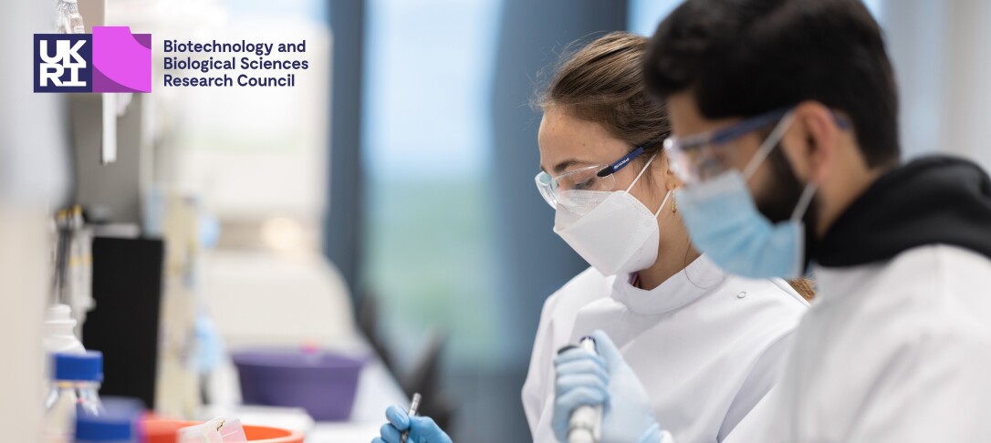 Researchers working with sample in laboratory