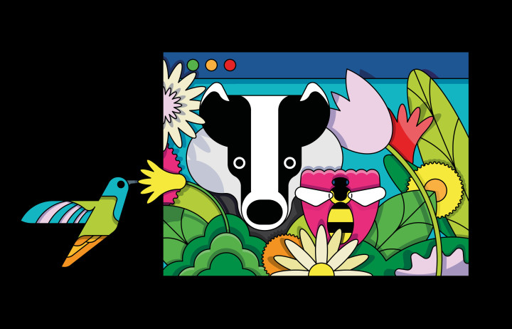 Illustration of wildlife