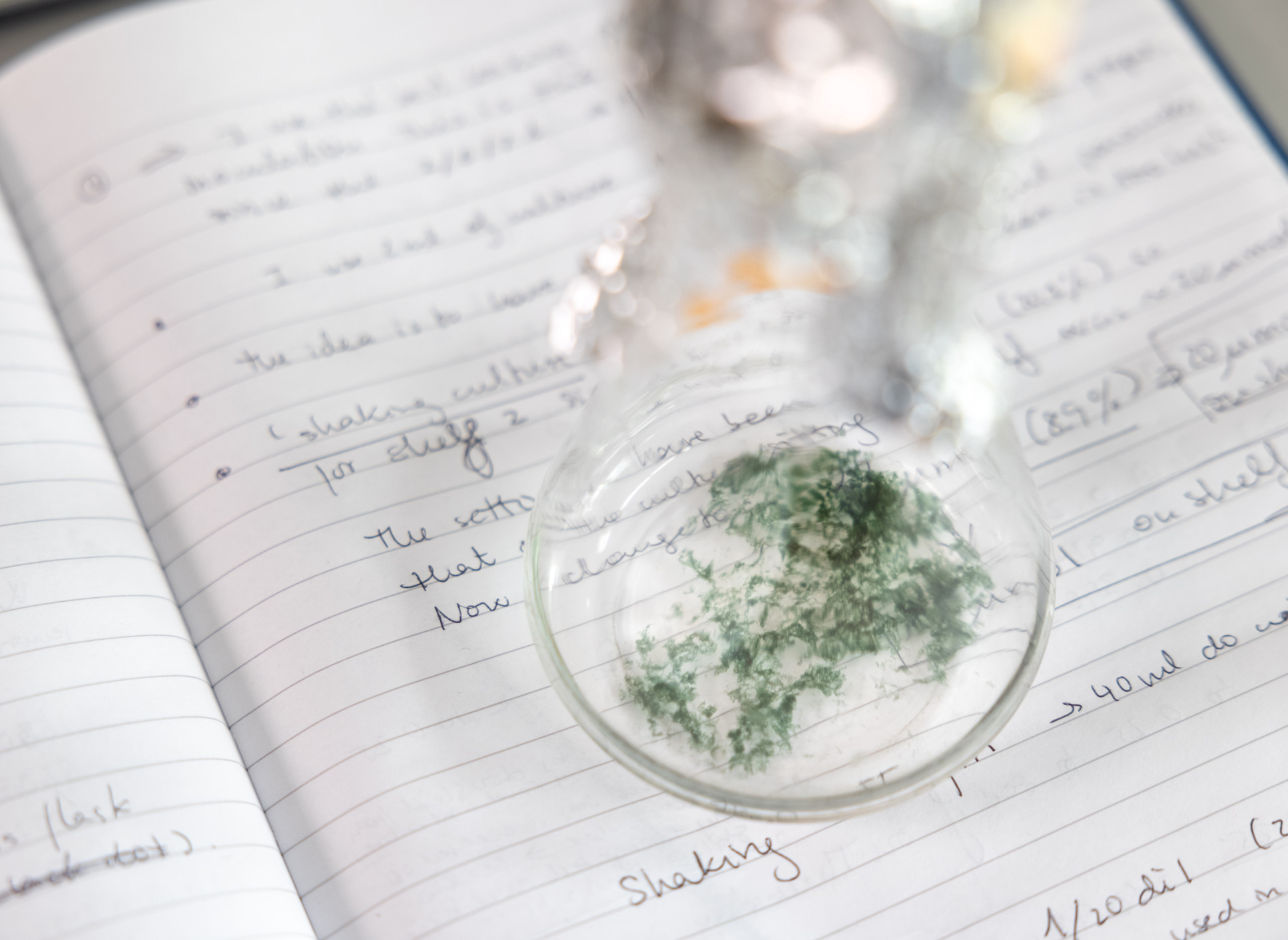 Green material in a beaker