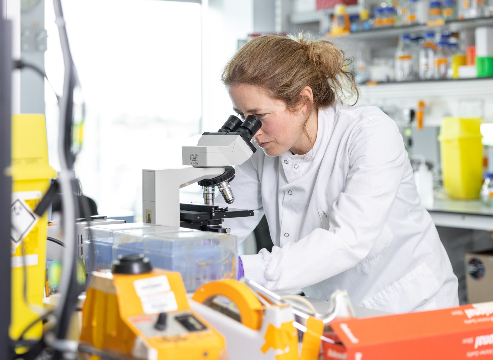 Researcher looks through the lens of a microscope