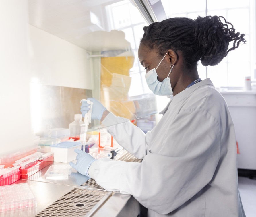 A researcher wearing a lab coat and face covering, pipetting underneath a hood in the lab