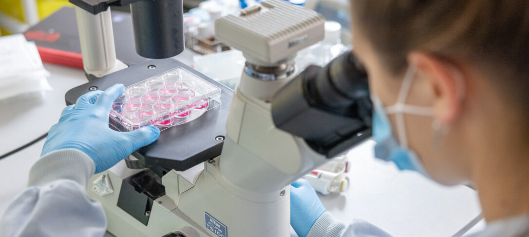 Person looking through a microscope