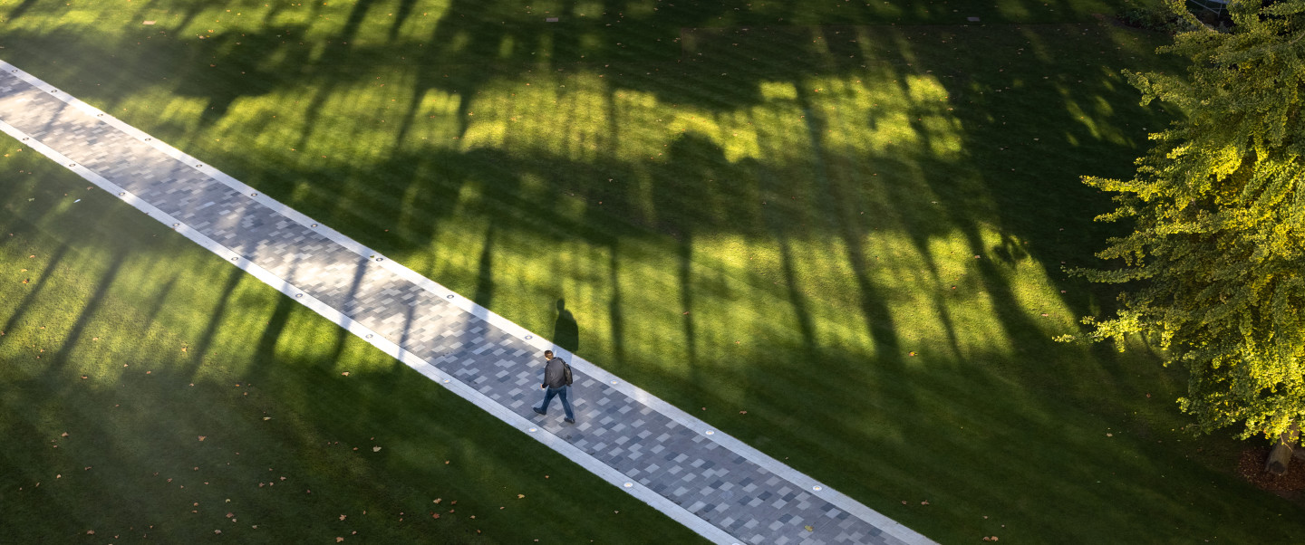 Dangoor Plaza pathway cuts across green grass. A man is pictured walking across the path (bird's eye view)