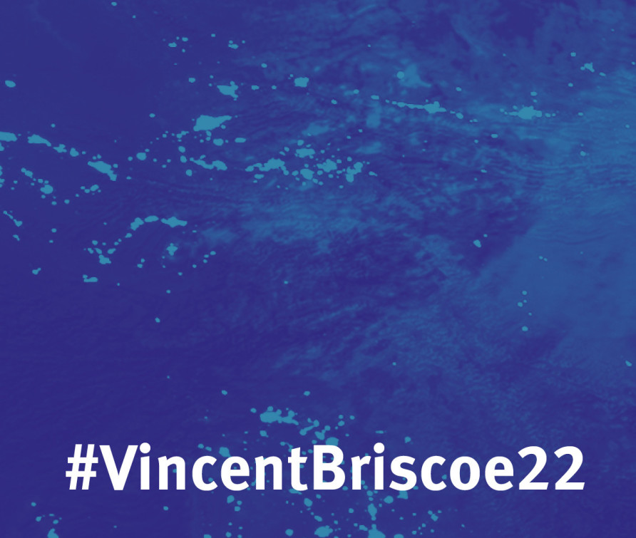Vincent Briscoe Lecture banner