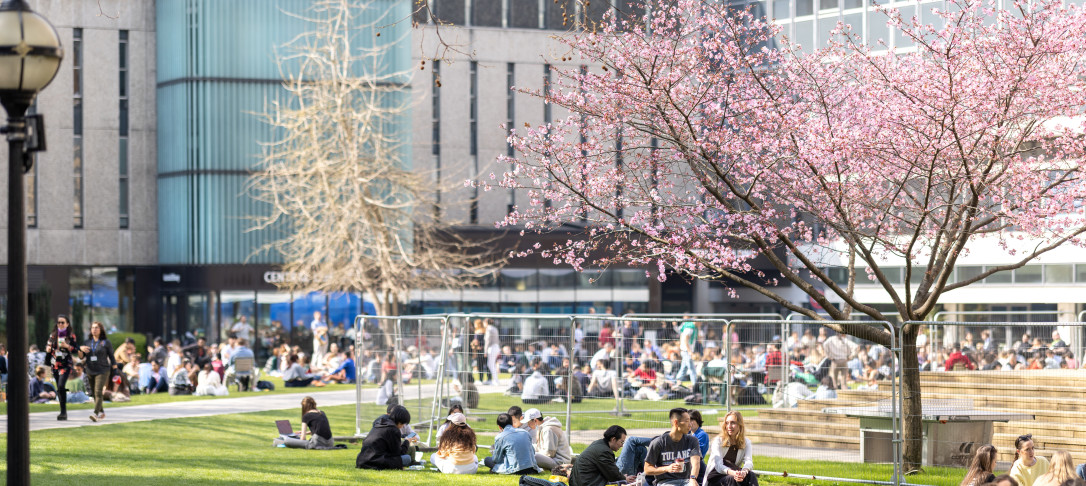 tQueens lawn and the Dangoor Plaza looking very busy in the spring sunshine with the blossom in the foreground.