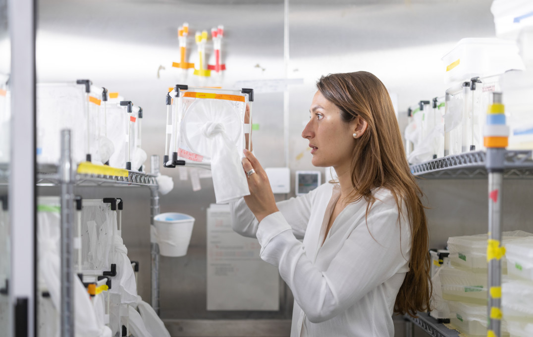 Anna Strampelli holds up a cube with a white covering in the lab studying research into malaria.