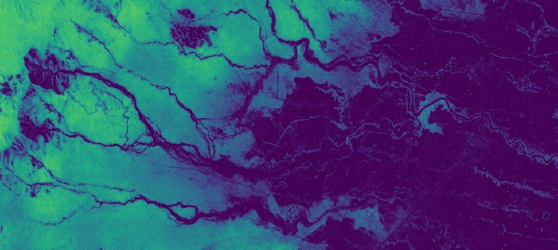 Tracing Trees, Matthew Clark, Centre for Environmental Policy